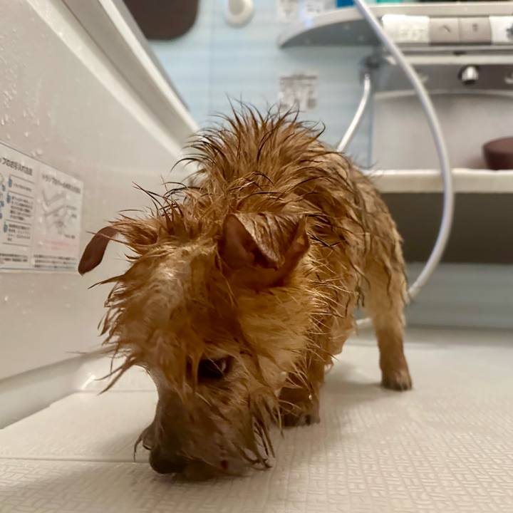 45c042f1 977b 438e 8431 e3af146d3384 1703882293517