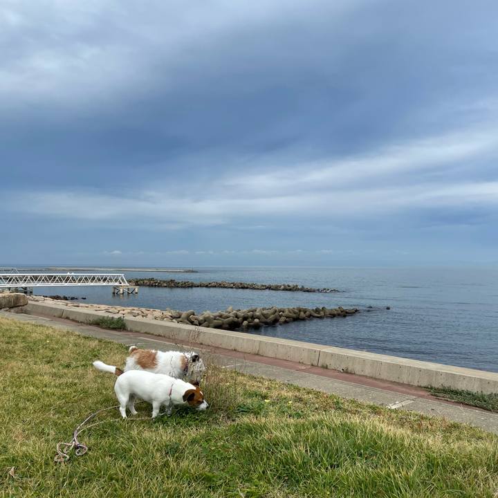 45c06043 bf53 4ec5 9577 d1efe41d88dd 1664236123561