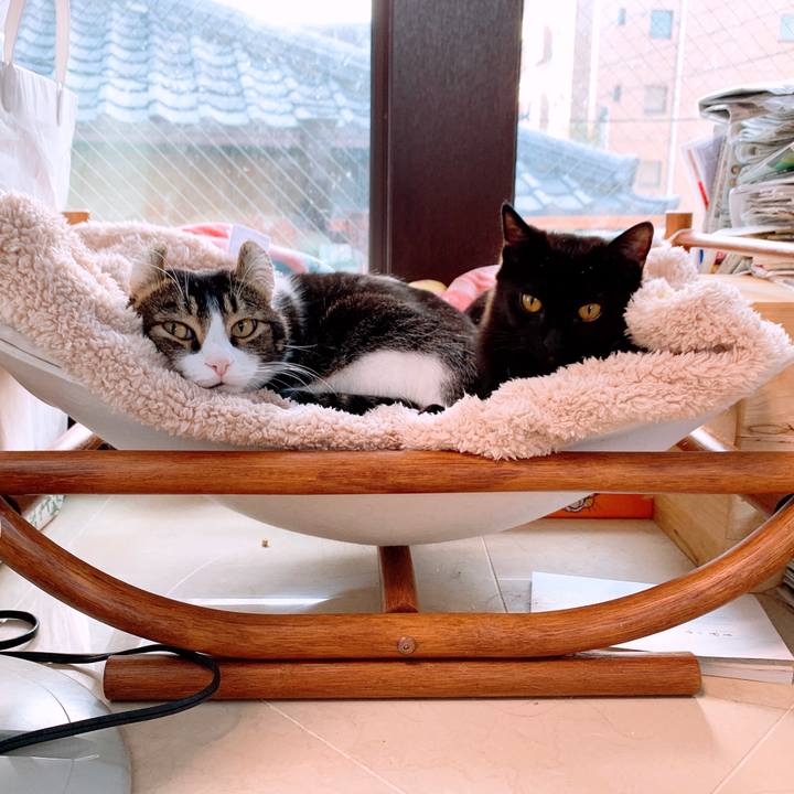 45c067a2 bea2 4376 8adb 8b6345647ff4 1549802635422