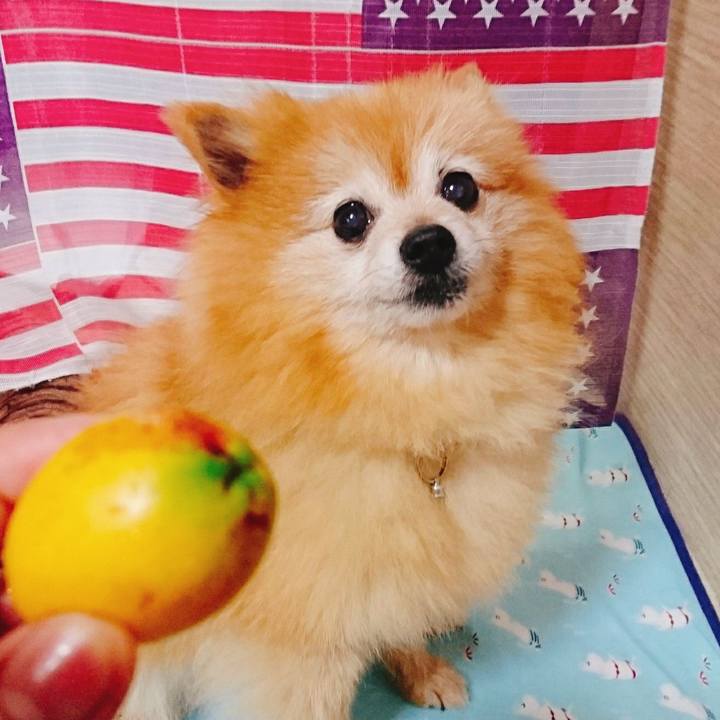 45c0abbf 45ed 48e5 85f9 259b90f915c4 1560554333042