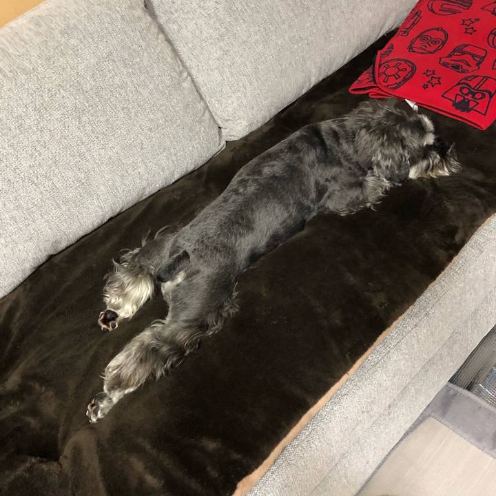 45c0bc95 0124 43ac a3da 66865e953097 1590034358107