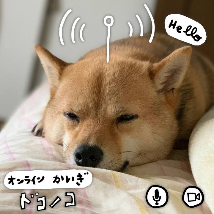 45c0d807 090e 4706 9c0f d415d9a36351 1590675225264