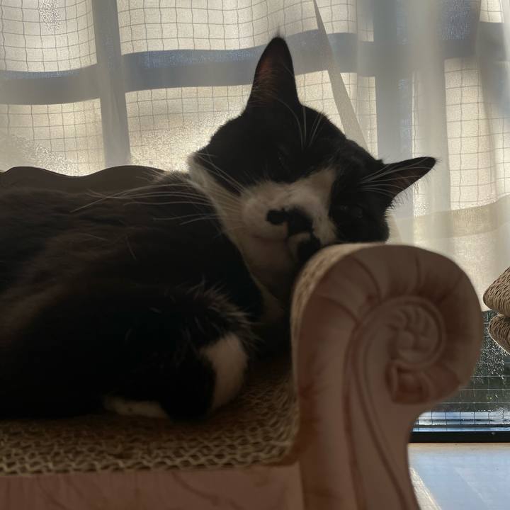 45c15c87 178e 4ac2 9b3b 47e59574f3e2 1672624565475