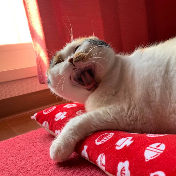 45c1835b 6ffe 45db 861b 8f0c77a8f040 1562708615675