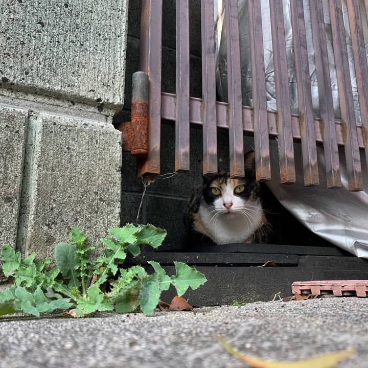 45c188fe 41e3 46d0 9ca7 d15d8b033626 1570022635770