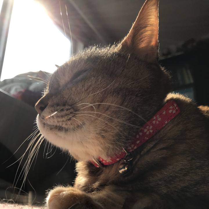 45c1b1e1 4358 4114 8de2 e1715630752b 1521957613757