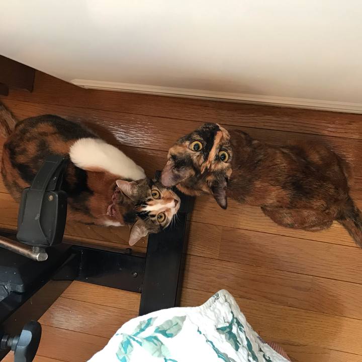 45c1b289 4f8a 4ec2 a267 a456f2d8b7b3 1670022075072