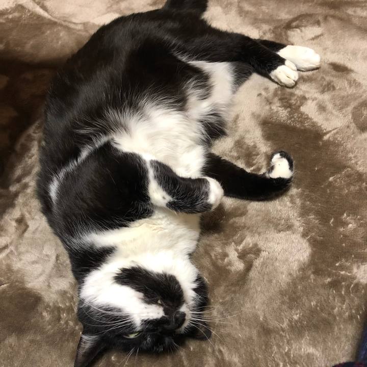 45c21a22 0419 4daf a16d 7e740c88aea0 1548289339180