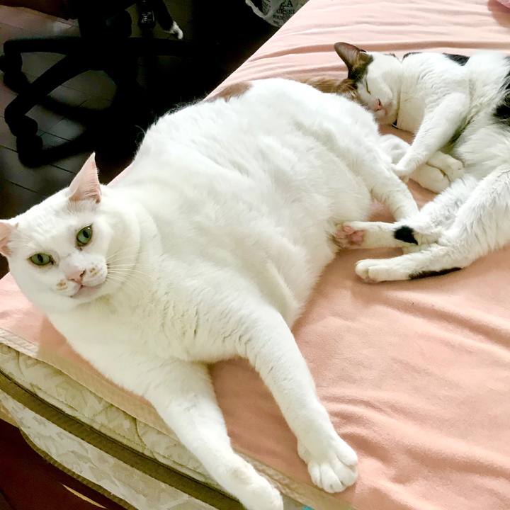 45c23aeb 90b7 4529 929d d098f9c8355a 1591195540557