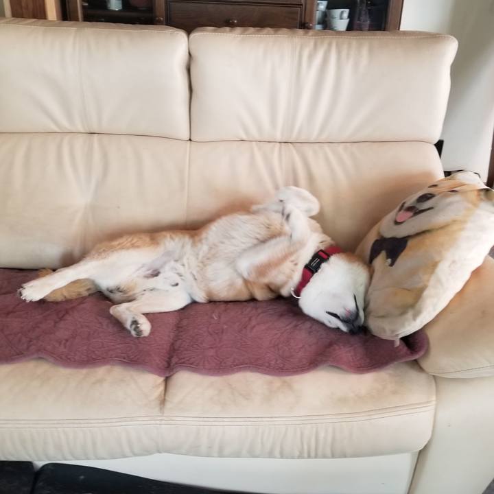 45c29011 96e2 4729 88b6 a39df314eb98 1748820452761