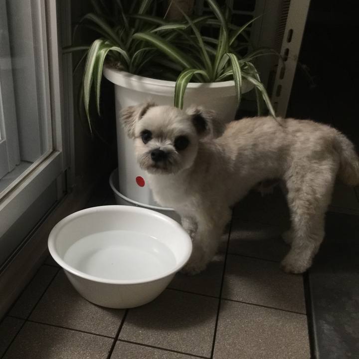 45c299e8 bd78 44f1 af4f 76412614ed2e 1530706109479