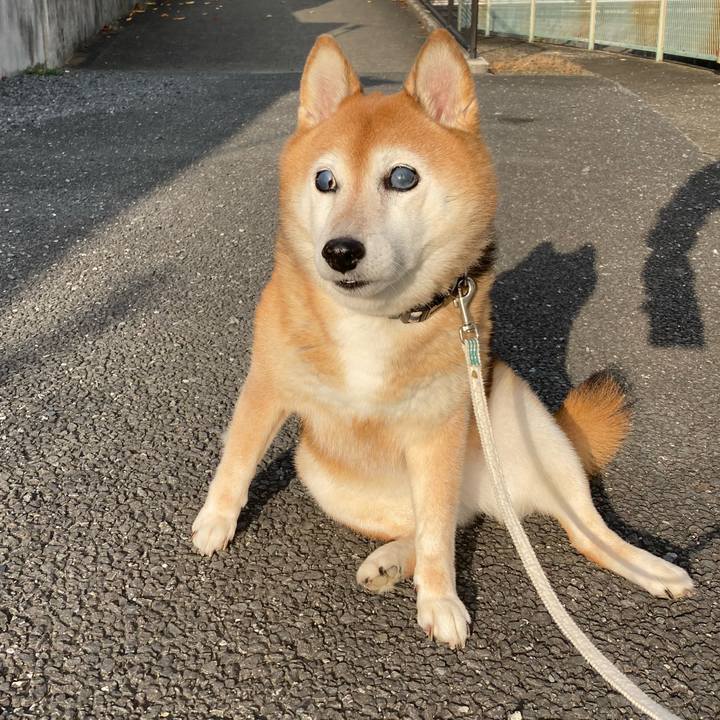 45c29bdb 8c40 43d7 951b ede8b6181996 1729987326963