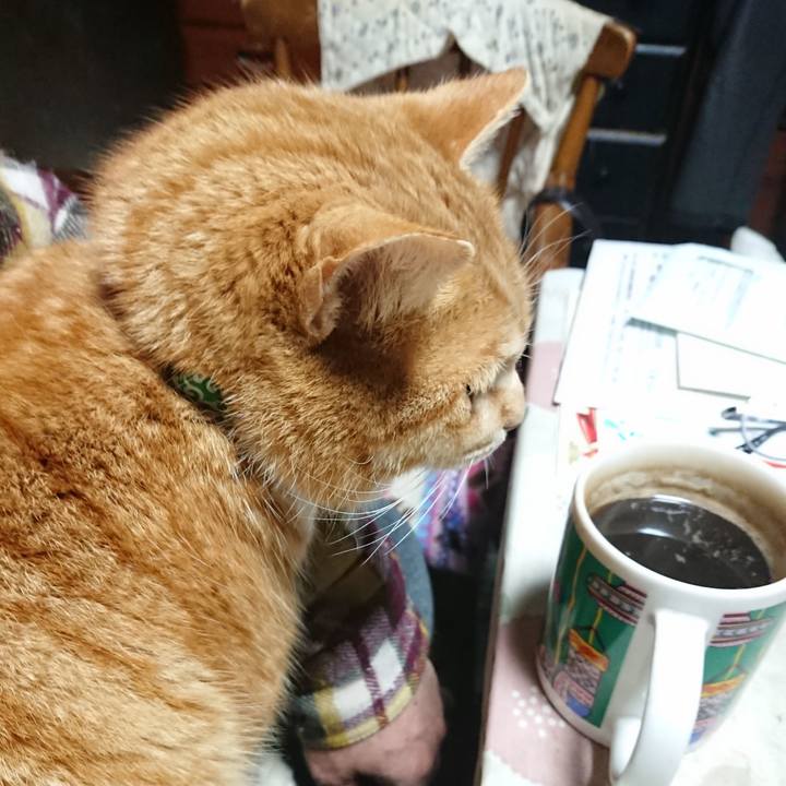 45c2d204 5d1c 48b0 bf64 1e0a3747c663 1580587291548