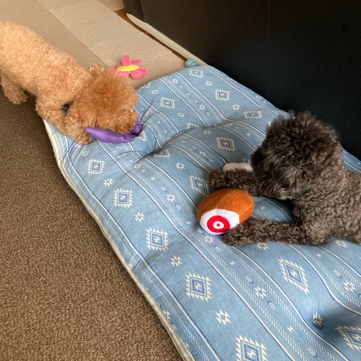 45c2fdf9 b792 42ad a155 87494528b2a8 1625923756229