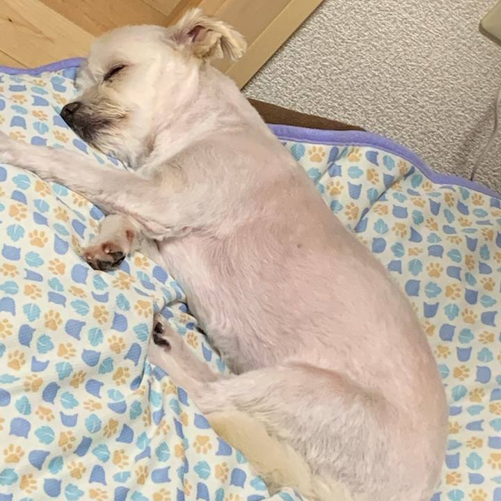 45c30c72 f906 4e98 bb4c 56dfd7697759 1594270519058