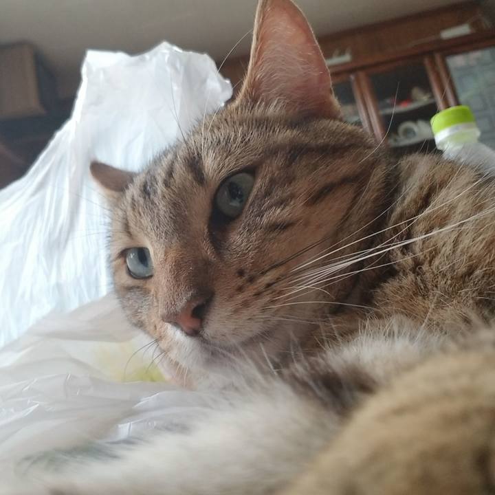 45c32aff 6c7a 4d1f ace3 174c375e3d73 1628170760561