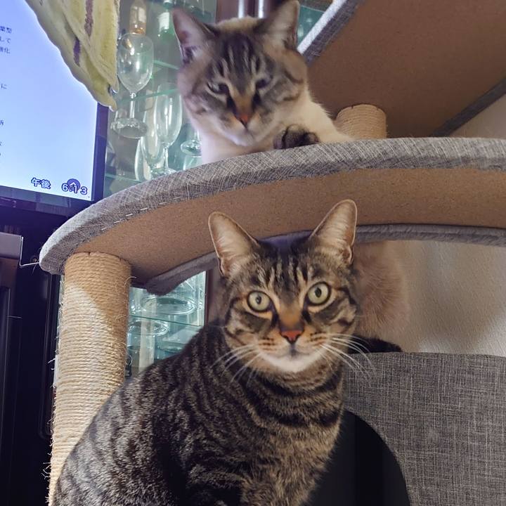 45c3548d 930d 47bf a596 dd2e1731420b 1706087684896