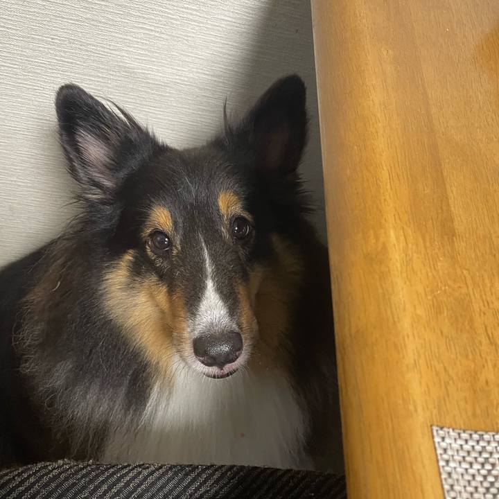 45c36e18 d1bd 483c 8afe 2cddea82ffef 1659476557991