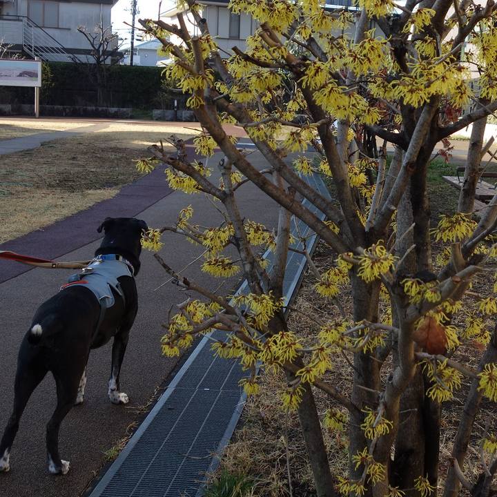 45c37be3 917f 46c2 aa93 a7d2b8524619 1741825663058