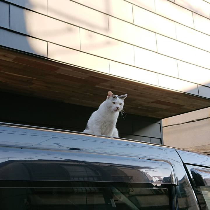 45c39b84 cfd4 4c8d a140 218071206ce8 1547449278846