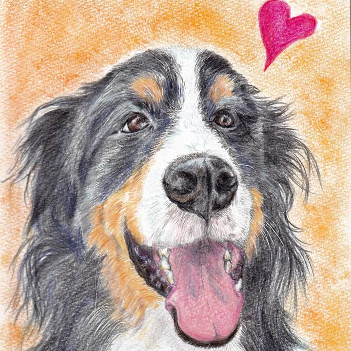 45c3a17b d8b9 4d70 a7ae 1da7b21c23b6 1658995499202