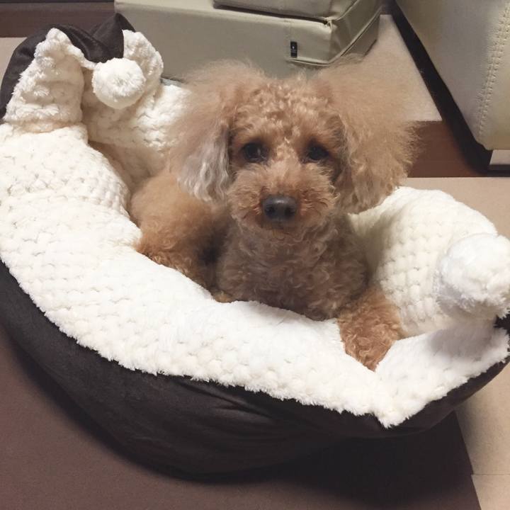 45c3af62 3a3b 4be8 94b3 4f101dcc4da2 1509277734429