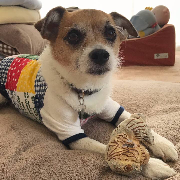 45c3f5f3 8345 43c9 aa32 695e6dc6b5a9 1558753816148