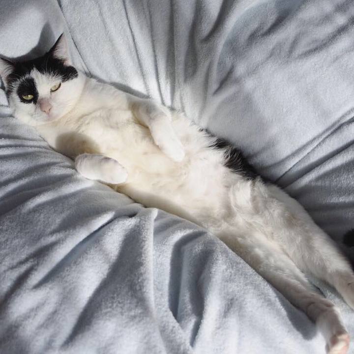 45c41b95 3212 4412 9f17 87dbe85c839d 1547862571569