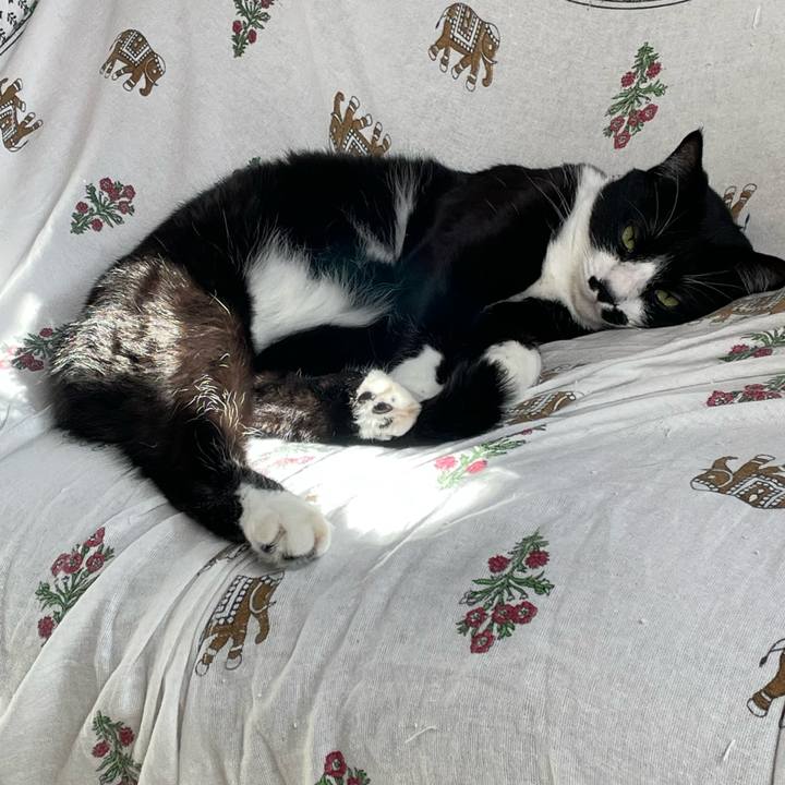 45c43f73 23a9 4a78 9489 5e9e161e44a3 1705588322436