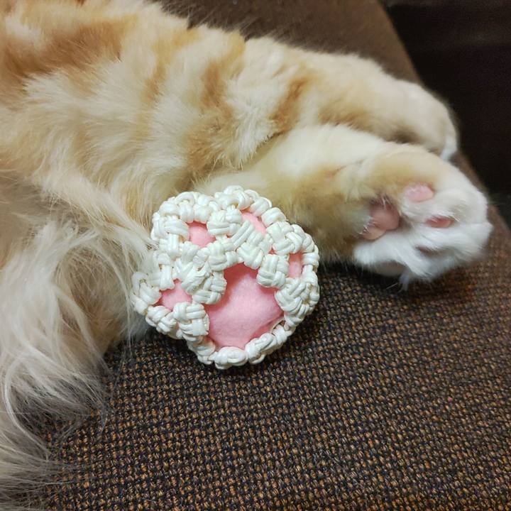 45c46b44 c35a 46c9 91db cff0299a744f 1659185538673