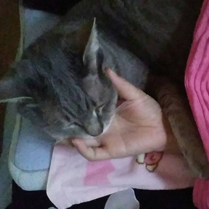 45c47f0e 9d5f 4846 831f 47b876ba08fe 1588732337339