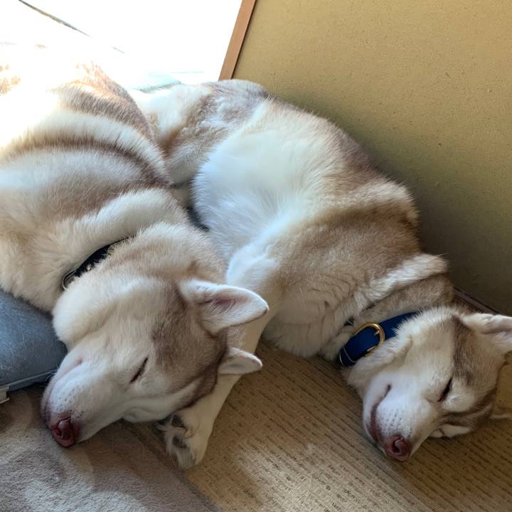 45c48cb2 0543 4b79 a714 f85963c23bef 1585313976072