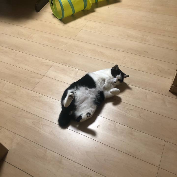 45c4a7c8 6c48 43c3 92b8 d961ea882dca 1612274206873