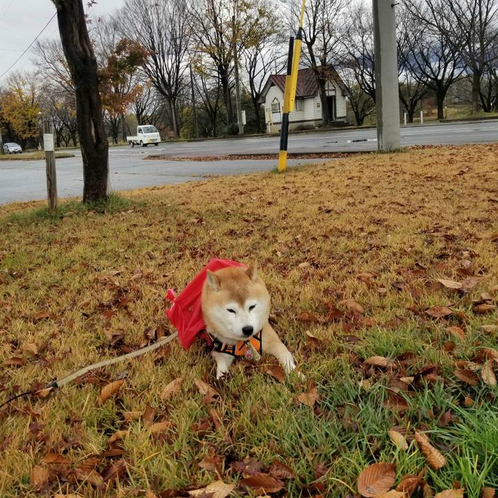 45c4c37d f8b3 4d59 88b4 41a5a1330201 1700197407059