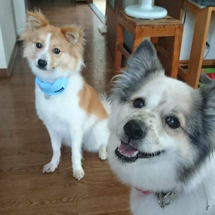 45c4d0a0 6de7 42c6 adbb 5d52aa4b75c6 1534684118093