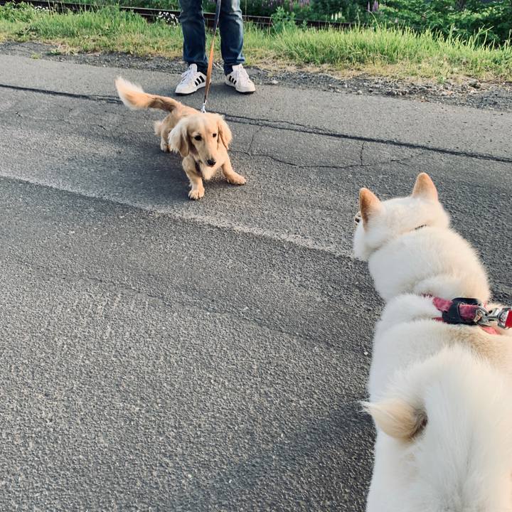 45c4d5aa cfa6 4ded 8d59 1692cd5bb3e3 1591303407884