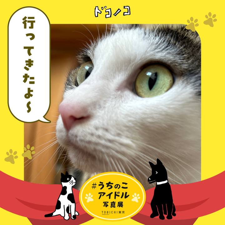 45c4ff95 f100 4f2a a2d3 0e3ce18eb506 1761201352002