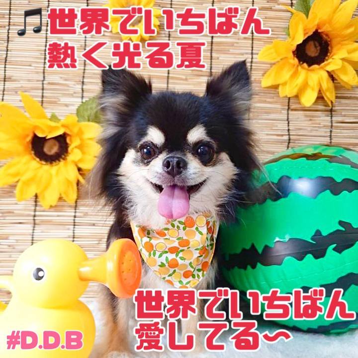 45c54a1c 56db 4cf3 9727 d9a37f56a2fd 1691821019980