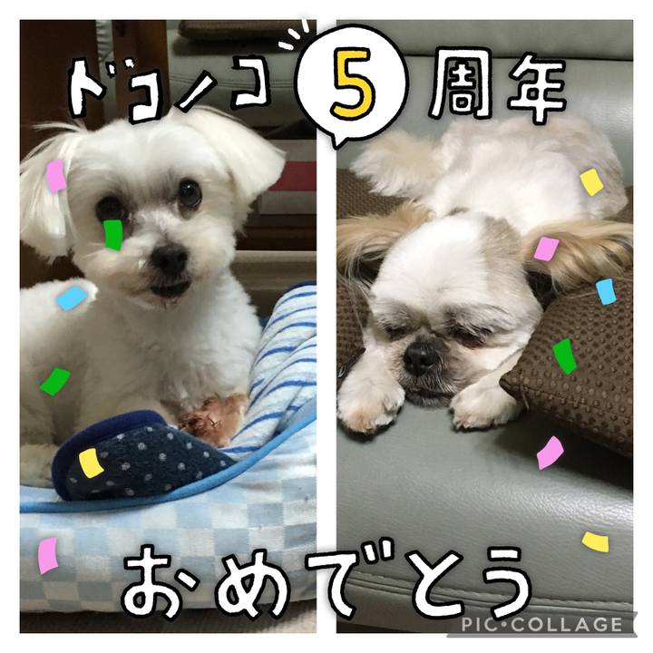 45c57e61 e795 4a59 96fa b83759da5fca 1622896250601