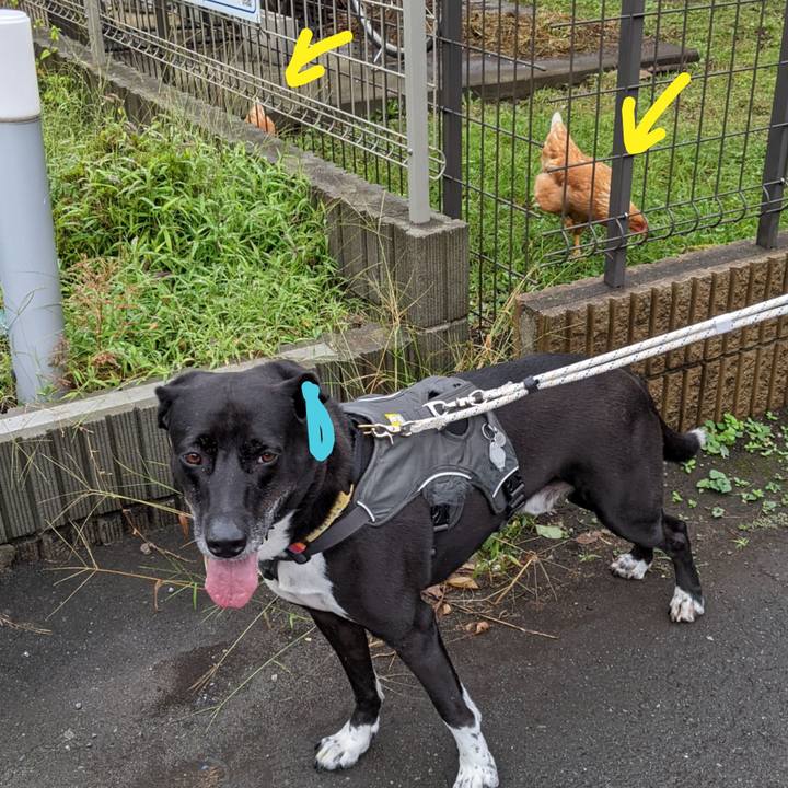 45c58f91 2d99 4248 a286 f63a4fdb1824 1665191587195