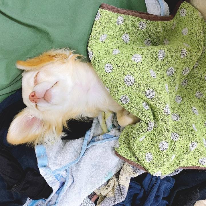 45c58ffa a91e 46a9 9749 0037c1cd4f2e 1618826768642