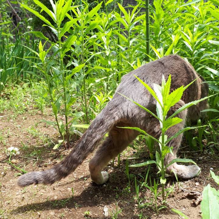 45c59bb3 d456 40a4 be96 608d0776a221 1654682269841