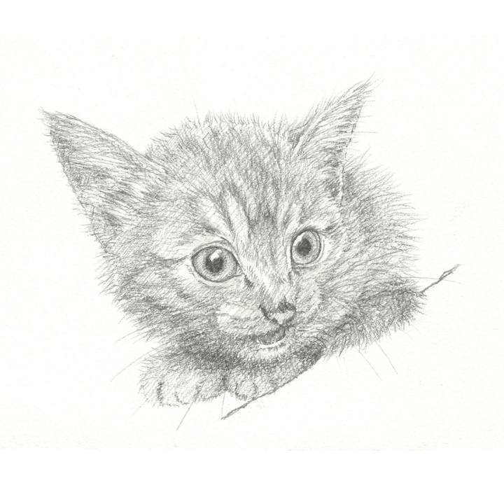 45c5d3a7 57e8 43da 8611 15febfb2a695 1551623194527