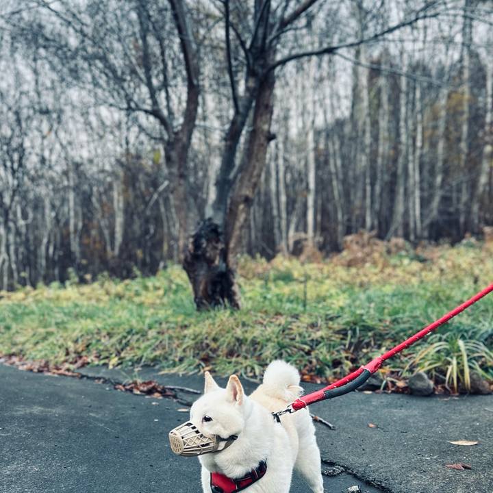 45c5e0f6 cc6f 4b5c 87ba 79fadafcdd22 1762727886229