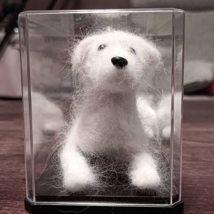 45c5e1c4 adb9 4ded 8e13 5e412274e207 1761295750201