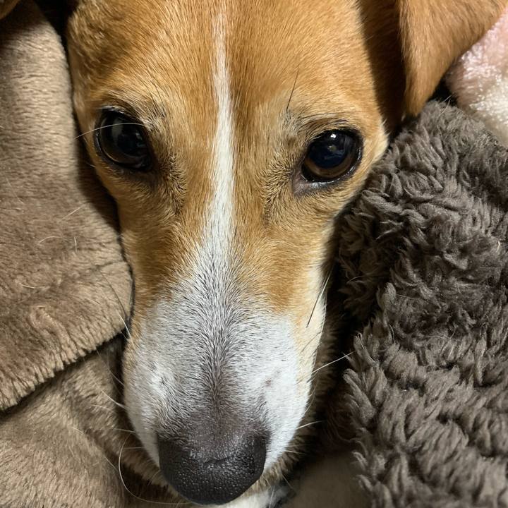 45c5e4df f86a 4699 b0b6 6d19fe6da8af 1614429515978