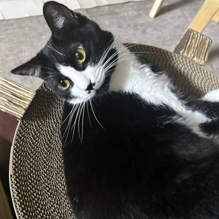 45c5ed19 2899 4407 b42b 1775957d9479 1755820132020