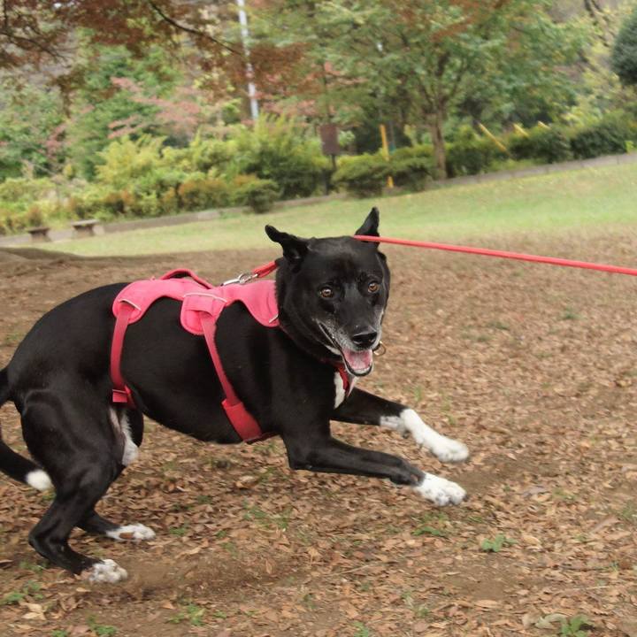 45c5ef54 c2e3 4f16 b451 c6cf3afb1110 1699145216742