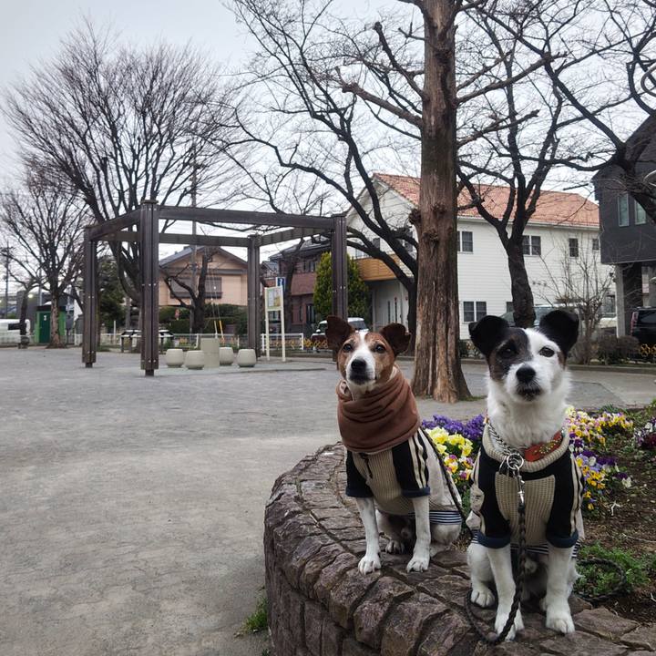 45c606a7 3f9c 4b48 b80d 1247dfb11c04 1773872545835