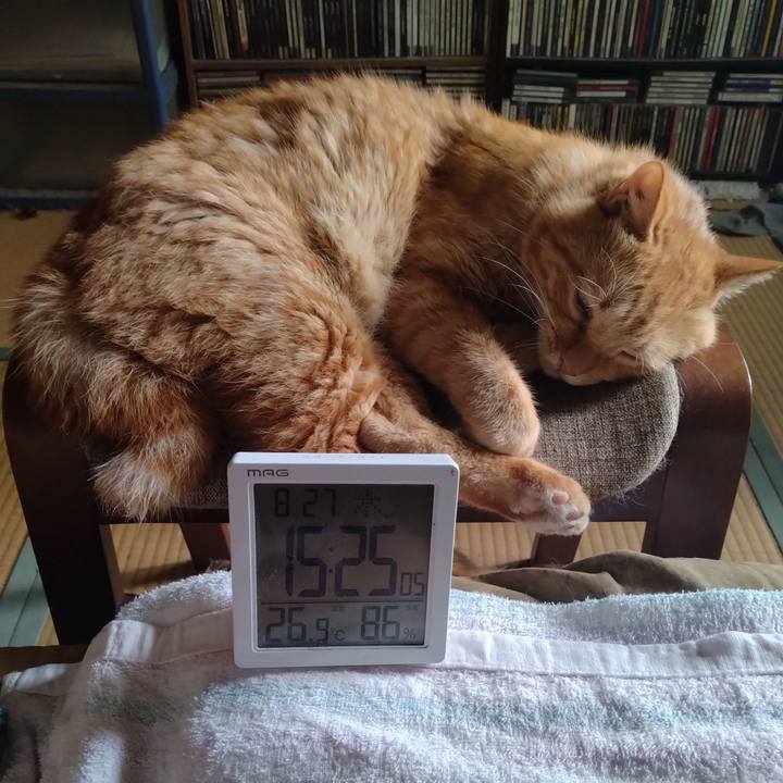 45c6260c 27a7 404c 9f9c 6d7deb66b7ba 1756275948328